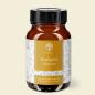 Preview: Waldkraft Kraftpilz Hericium – Vitalpilzpulver – 100g